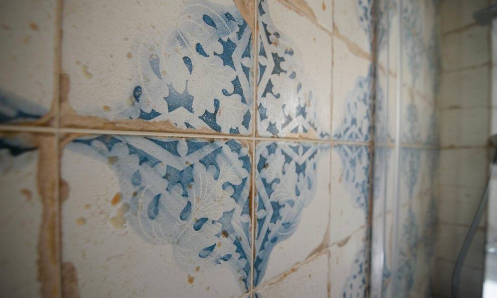 f44a04cc-79ad-4984-8e9e-6d113c96cfaa